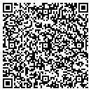 QR code with Pursesnickety contacts