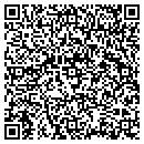 QR code with Purse Strings contacts