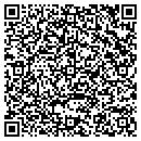 QR code with Purse Strings Inc contacts