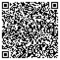 QR code with Gitano contacts