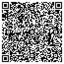 QR code with Premise LLC contacts