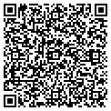 QR code with K Girl contacts