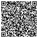 QR code with Tintco contacts