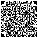 QR code with Tint Masters contacts