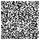 QR code with Pull-A-Part contacts