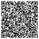 QR code with Pro Shop Inc contacts