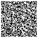 QR code with Premier Auto and RV contacts