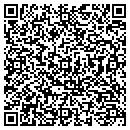 QR code with Puppets R Us contacts