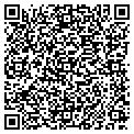 QR code with Tvg Inc contacts