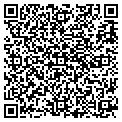 QR code with Amsoil contacts