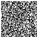 QR code with Precision Auto contacts