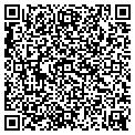 QR code with Towing contacts