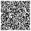 QR code with Premier Window Tinting contacts