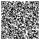 QR code with Pro Auto Tint contacts