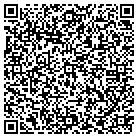QR code with Professional Window Tint contacts