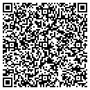 QR code with Pro Tint Auto contacts