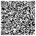 QR code with Pulse Entertainment contacts