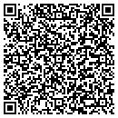 QR code with Progressive Detail contacts