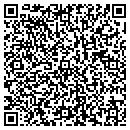 QR code with Brisbin David contacts
