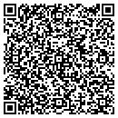 QR code with pro truck & trailer contacts