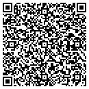QR code with Precision Performance contacts