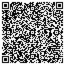 QR code with Cynergy Data contacts