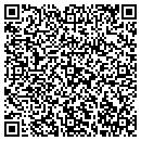 QR code with Blue Ridge Polaris contacts