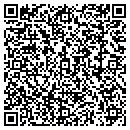 QR code with Punk's Used Tires LLC contacts
