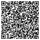 QR code with Carson Tire Service contacts