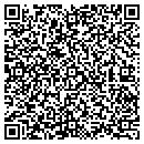 QR code with Chaney Tire & Auto Inc contacts