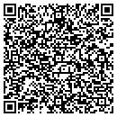 QR code with Premier Collision contacts