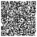 QR code with Yolato contacts