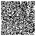 QR code with N W S- Illinois LLC contacts