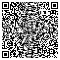 QR code with Vital Records contacts