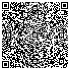 QR code with Babcock Ranch Mulch Div contacts