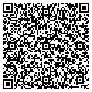 QR code with Prairie NY Inc contacts