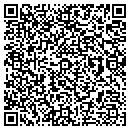 QR code with Pro Dive Inc contacts