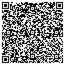 QR code with Carviny Finishing LLC contacts