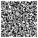 QR code with Precision Inventories contacts
