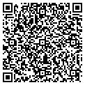 QR code with Impex contacts