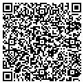 QR code with Digifon contacts