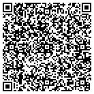 QR code with Public Pay Phone Systems contacts