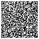 QR code with Print Strategies contacts