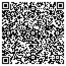 QR code with Professional Helper contacts