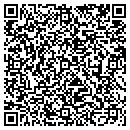 QR code with Pro Repo & Towing Inc contacts
