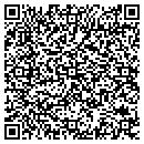 QR code with Pyramid Signs contacts