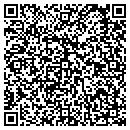 QR code with Professional Blinds contacts