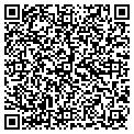 QR code with Levtex contacts