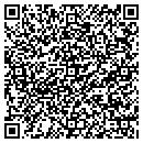 QR code with Custom Vans & Sedans contacts