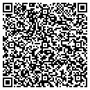 QR code with Psychic Insights contacts